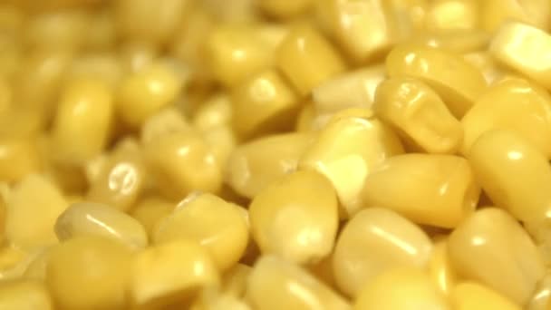 Canned Corn Kernels Shots Slow Motion Canned Corn Kernels Fall — 图库视频影像