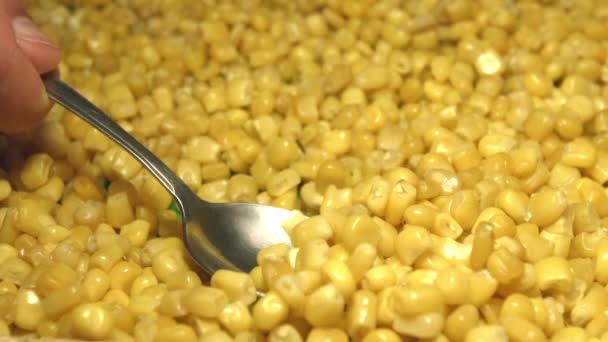 Canned Corn Kernels Shots Slow Motion Canned Corn Kernels Taken — Stock Video
