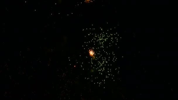 Fuochi Artificio Volano Nel Cielo Successive Esplosioni Cariche Pirotecniche Sono — Video Stock
