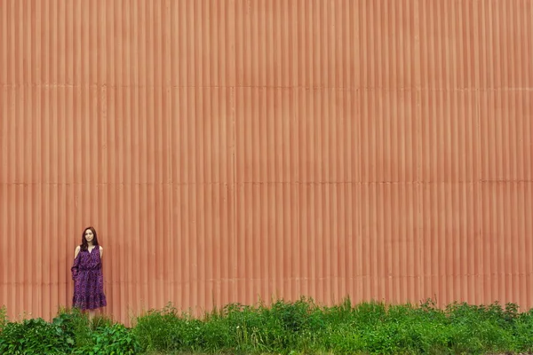 Duvarın yanındaki kız. Leylak elbiseli güzel Asyalı kız duvarın yanındaki çimlerin üzerinde duruyor..