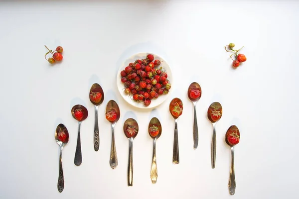 Alpine strawberry (wild strawberry) on a white background. Top view. Strawberries in teaspoons and in a saucer and two branches with berries on the edges.