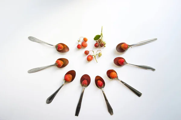 Wild strawberry or alpine wild strawberry. Top view.On a white background eight teaspoons. In each spoon lies one strawberry.In the center are three branches with berries.