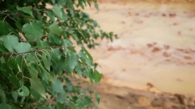 Çevre kirliliği. Su ve orman fabrikadan gelen zararlı emisyonlarla kirlenir. Su, perith metalinin drenajı yüzünden turuncuya döndü..