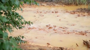 Çevre kirliliği. Su ve orman fabrikadan gelen zararlı emisyonlarla kirlenir. Su, perith metalinin drenajı yüzünden turuncuya döndü..