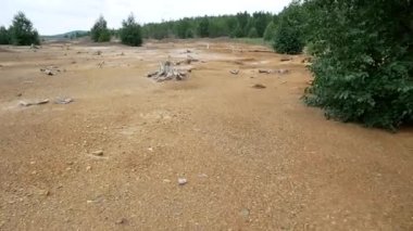 Bitki emisyonları yüzünden cansız dünya. Bu ormanda zararlı metalin atmosfere yayılması nedeniyle otlar yetişmiyor..