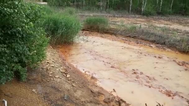 环境污染 水和森林受到工厂有害排放物的污染 岩石金属的排水使水变成橙色 — 图库视频影像