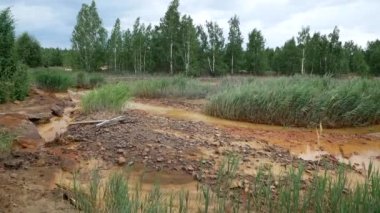Çevre kirliliği. Su ve orman fabrikadan gelen zararlı emisyonlarla kirlenir. Su, perith metalinin drenajı yüzünden turuncuya döndü..