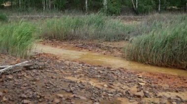 Çevre kirliliği. Su ve orman fabrikadan gelen zararlı emisyonlarla kirlenir. Su, perith metalinin drenajı yüzünden turuncuya döndü..