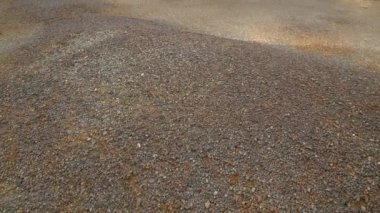 Bitki emisyonları yüzünden cansız dünya. Bu ormanda zararlı metalin atmosfere yayılması nedeniyle otlar yetişmiyor..