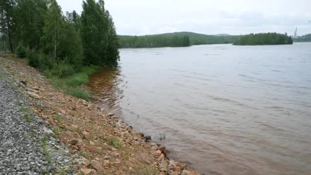 Polusi Lingkungan Air Sungai Tercemar Dan Ini Dapat Dilihat Dari — Stok Video