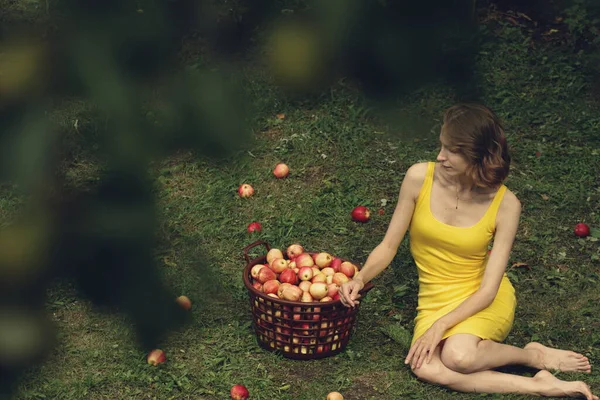 Elmaların arasındaki kadın. Genç bir kadın çimenlikte elma sepetinin yanında oturuyor..