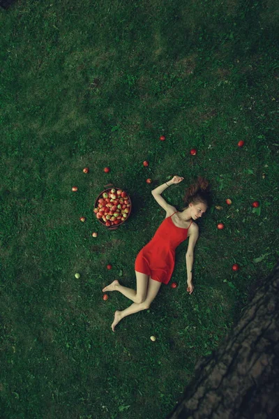 Elmaların arasındaki kız. Güzel manzara. Kırmızı elbiseli güzel bir kız çimlerin üzerinde elmaların yanında yatıyor. (Güzel bir kadın çimlerin üzerinde uzanıyor. Üst Manzara. O, elma sepetinin yanında yatıyor. Çimenlerin üzerinde de bir sürü elma var.. )