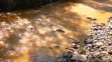 Çalışan fabrika yüzünden çevre kirliliği. Su ve toprak, perith metalinin drenajı nedeniyle turuncuya döndü. Su ve orman fabrikadan gelen zararlı emisyonlarla kirlenmiş..