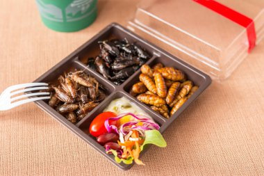 Böcek yiyecek toplama - kriket, solucan böcekler kahverengi gıda kutularındaki sebze salatası ile. Sağlıklı yemek yüksek protein diyet kavramı. Yakın çekim.