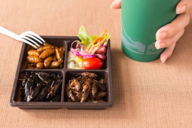Böcek yiyecek toplama - kriket, solucan böcekler kahverengi gıda kutularındaki sebze salatası ile. Sağlıklı yemek yüksek protein diyet kavramı. Yakın çekim, seçici odak