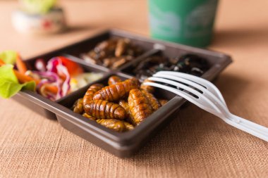 Böcek yiyecek toplama - kriket, solucan böcekler kahverengi gıda kutularındaki sebze salatası ile. Sağlıklı yemek yüksek protein diyet kavramı. Yakın çekim, seçici odak