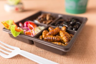 Böcek yiyecek toplama - kriket, solucan böcekler kahverengi gıda kutularındaki sebze salatası ile. Sağlıklı yemek yüksek protein diyet kavramı. Yakın çekim, seçici odak