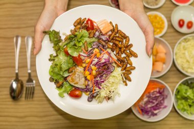 Sebze salatası - solucan böcekler ile sebze salatası beyaz plaka üzerinde tutan insan eller eller. Sağlıklı yemek yüksek protein diyet kavramı.