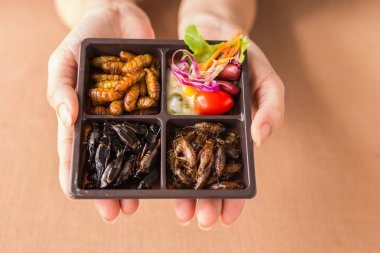 Böcek yiyecek toplama - insan kadın kriket, holding solucan böcekler kahverengi gıda kutularındaki sebze salatası ile eller. Sağlıklı yemek yüksek protein diyet kavramı. Yakın çekim, seçici odak.