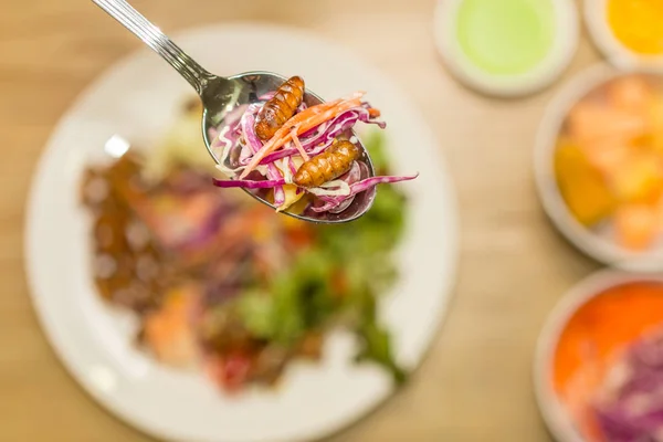 Hands hold insects on a spoon - Human female hands holding vegetable salad with worm insects on a spoon. Healthy meal high protein diet concept.