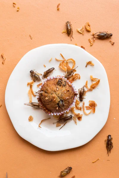 Banana cupcakes with insect foods - Banana cupcakes with insect foods and crispy shallots fried on orange tablecloth background. Healthy meal high protein diet concept. Top view, Selective focus.