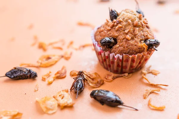 Banana cupcakes with insect foods - A banana cupcake with insect foods and crispy shallots fried on orange tablecloth background. Healthy meal high protein diet concept. Close-up, Selective focus.
