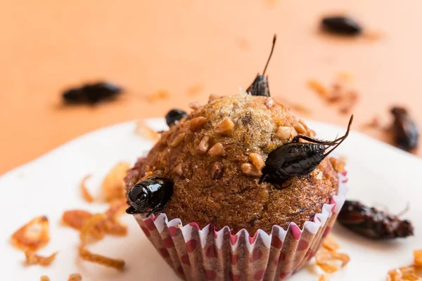 Banana cupcakes with insect foods - Banana cupcakes with insect foods on a white plate and crispy shallots fried on orange tablecloth background. Healthy meal high protein diet concept. Close-up, Selective focus.