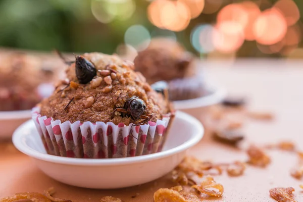 Banana cupcake with insect foods - Homemade insect foods in the banana cupcakes on stainless steel sieve with bokeh background. Healthy meal high protein diet concept. Selective focus.