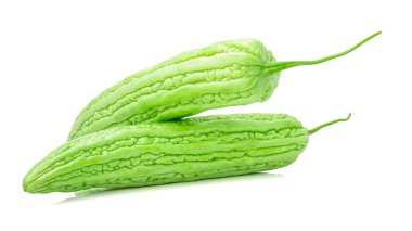 Acı veya acı kavun izole