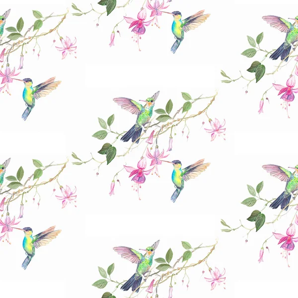 Kolibry kwiaty akwarela — Zdjęcie stockowe