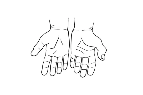 Kézmozdulat vektor vázlat gyűjtemény. Testbeszéd koncepció. Kézjelek - interaktív kommunikációs készlet. Különböző pozíciókban. Kar gesztusok bemutatására és bemutatására, gazdaság és képviselet. — Stock Vector