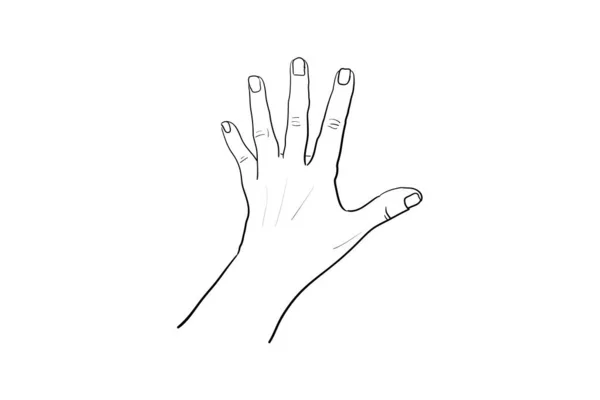 Ручной жест Векторный эскиз. Понятие языка тела. Ручной знак СТОП - интерактивный коммуникационный набор. Разные позиции. Жесты рук для демонстрации и указания, удержания и представления — стоковый вектор