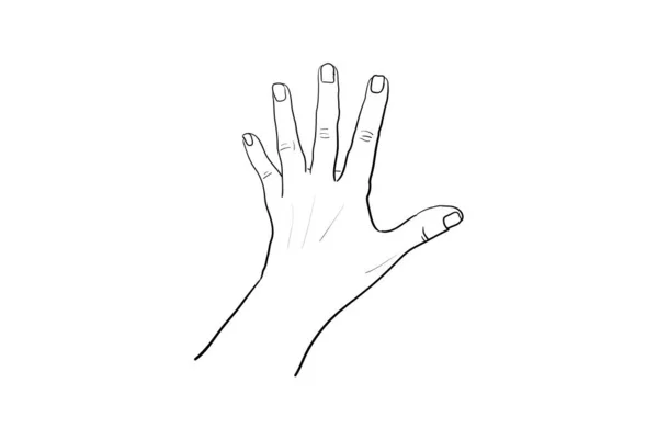 Mano gesto Vector bosquejo. Concepto de lenguaje corporal. Señal de mano STOP - conjunto de comunicación interactiva. Mano en diferentes posiciones. Gestos de brazo para mostrar y señalar, sostener y representar — Vector de stock