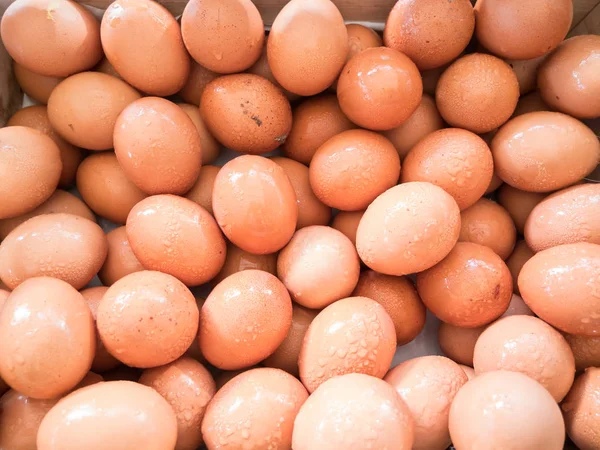Arka plan taze tavuk yumurta