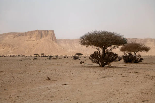 Suudi Arabistan 'daki Rocky Desert Platosu. Kayalık bir çöl manzarası seyrek çalılar ve arka planda Suudi Arabistan 'da bulunan yüksek bir plato. Kuru arazi, altın kum