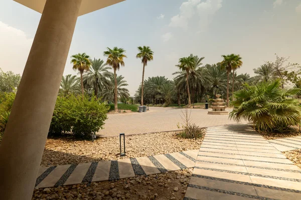 Suudi Arabistan 'da lüks modern konak. Suudi Arabistan 'da minimalist mimarisi, büyük avlusu ve palmiye çevresi olan zarif modern bir villa. Çağdaş yaşam tarzı ve lüksün mükemmel bir örneği.