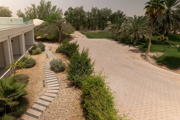 Suudi Arabistan 'da lüks modern konak. Suudi Arabistan 'da minimalist mimarisi, büyük avlusu ve palmiye çevresi olan zarif modern bir villa. Çağdaş yaşam tarzı ve lüksün mükemmel bir örneği.