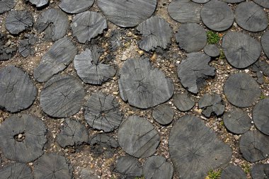Bahçe yol yol kesme kütükleri, kesit ağaç gövdeleri geçit