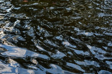 Doku sakinleştirmek karanlık su yüzeyi ile vurgulamaktadır 