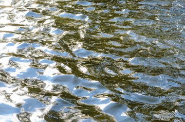 Doku sakinleştirmek karanlık su yüzeyi ile vurgulamaktadır 