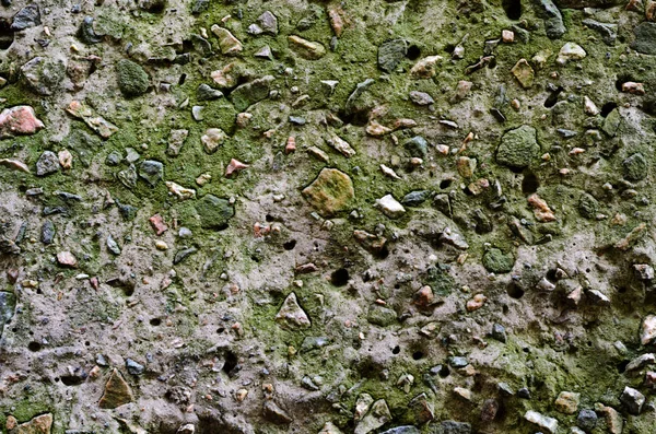Overgrown Moss Large Stone — Stock Photo, Image