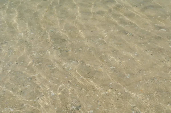 Crystal clear sea water ripples sparkling in the noon sun. Rippled water with bottom sand and shells seen underwater