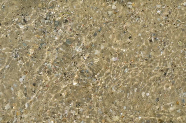 Crystal clear sea water ripples sparkling in the noon sun. Rippled water with bottom sand and shells seen underwater