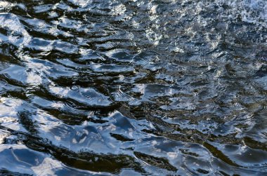 Doku sakinleştirmek karanlık su yüzeyi ile vurgulamaktadır 