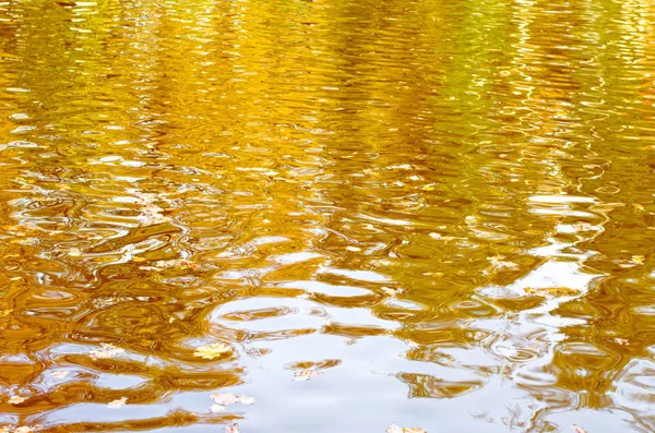 Абстрактний Фон Стиглої Води Відображає Жовті Дерева Блакитне Небо — стокове фото