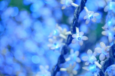 Çiçekler, mavi bokeh, seçilen odak şeklinde liderliğindeki Noel ışıkları