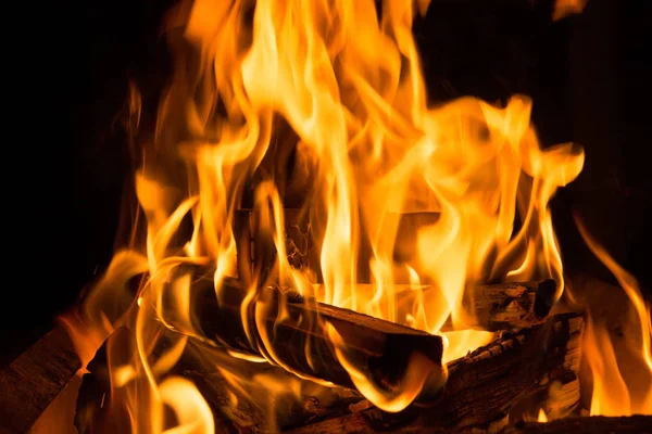 Kamp ateşi gecede ahşap günlükleri yanan