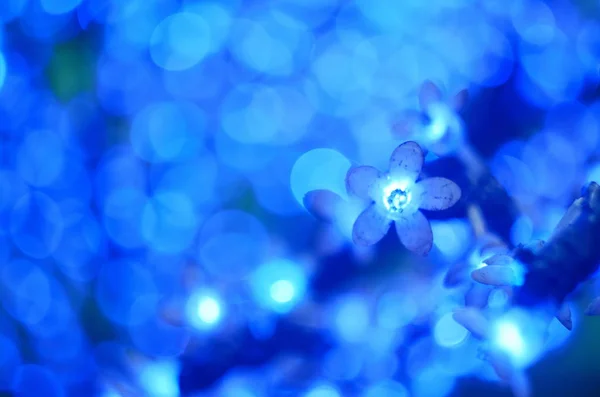 Boże Narodzenie Światła Postaci Bokeh Kwiaty Niebieski Led Wybrane Ostrości — Zdjęcie stockowe