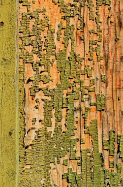 Yıpranmış eski yeşil boyalı ahşap tahta doku kırık,