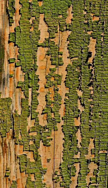 Rachado Resistido Velho Verde Pintado Madeira Bordo Textura — Fotografia de Stock